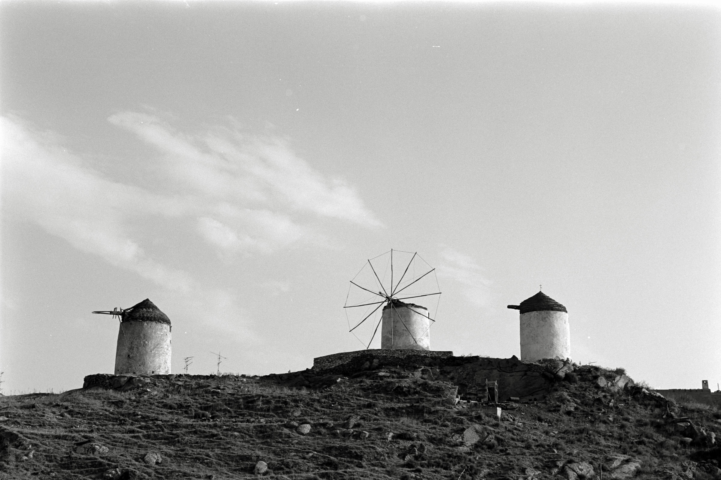 AHP F1991 09 004 sc240914 img30 NLP